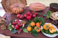 autunno2022SFH-8