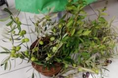 sfg-sapori-autunno-2022-5