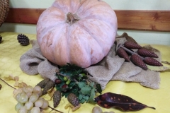 festa autunno 2019 SFH (12)