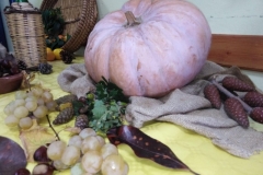 festa autunno 2019 SFH (18)