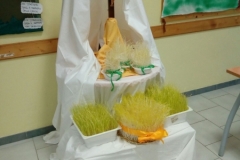 LAVANDA2