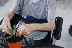 attivita-occ-giard-SFH-2022-1