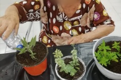 attivita-occ-giard-SFH-2022-4