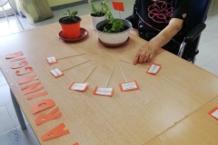 attivita-occ-giard-SFH-2022-6